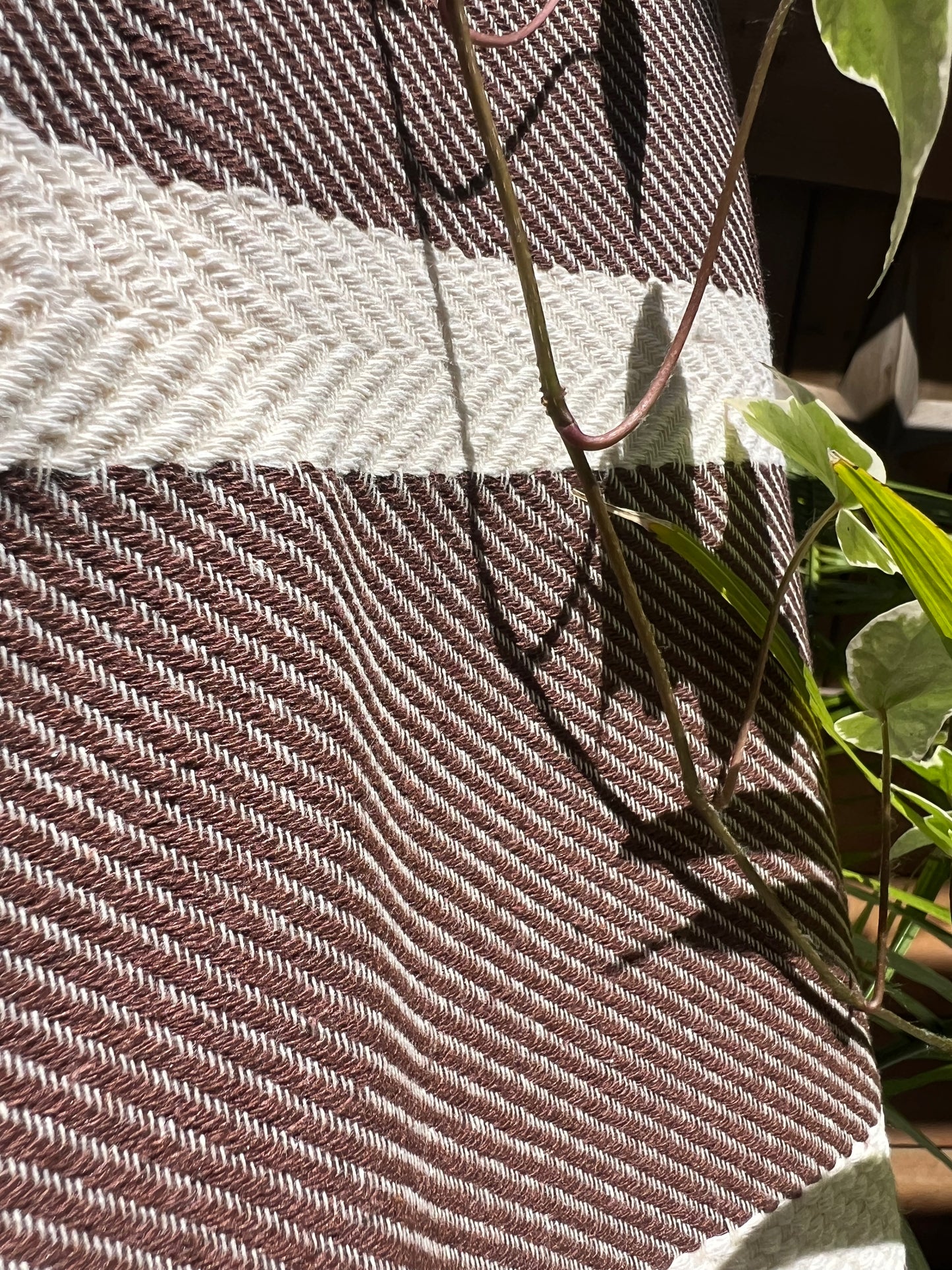 Carthage Collection - Regular Towels